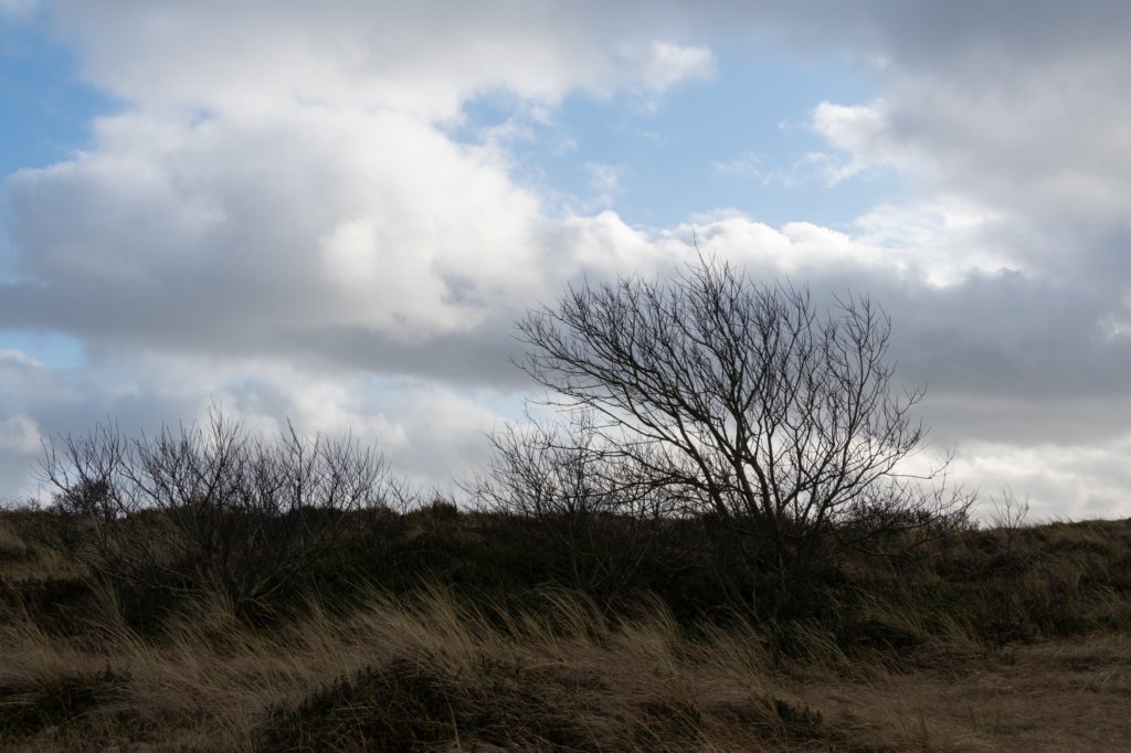 ameland2020_045.jpg