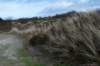 ameland2020_046_small.jpg