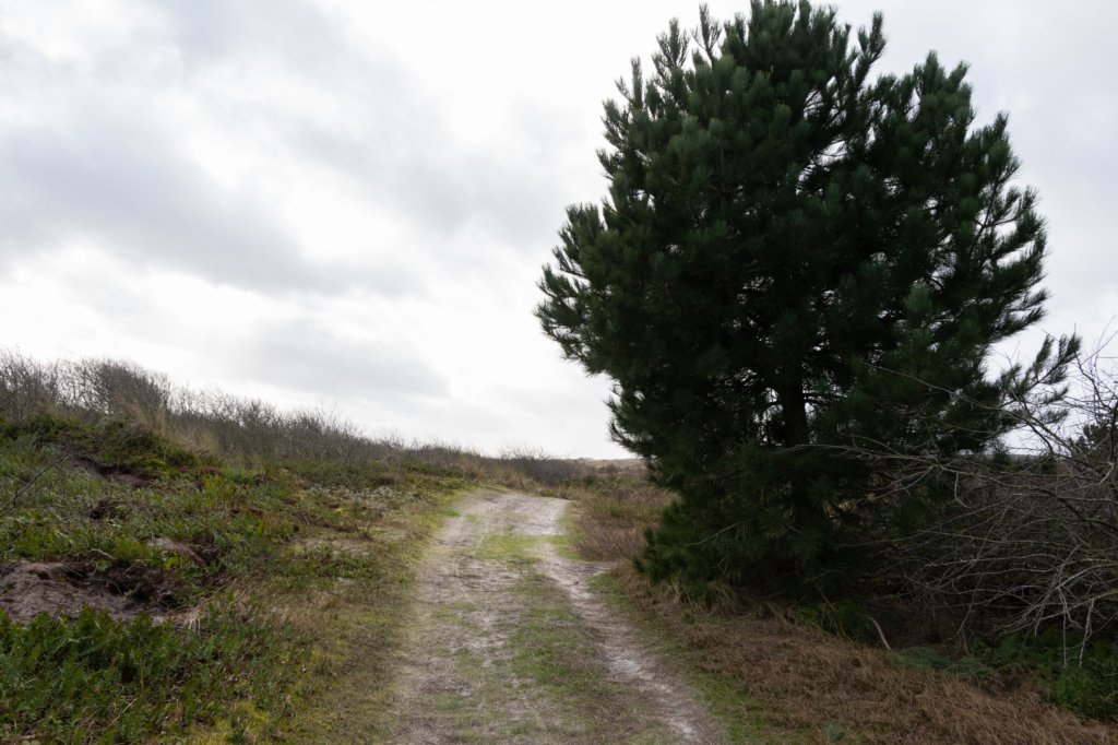 ameland2020_047.jpg