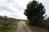 ameland2020_047_small.jpg