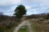 ameland2020_048_small.jpg