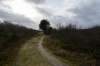ameland2020_049_small.jpg