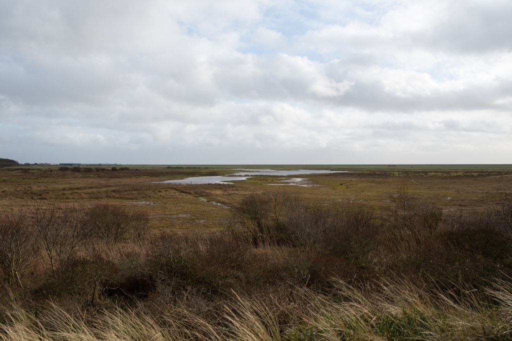 ameland2020_050.jpg