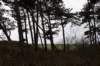 ameland2020_051_small.jpg