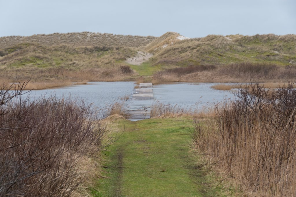 ameland2020_052.jpg