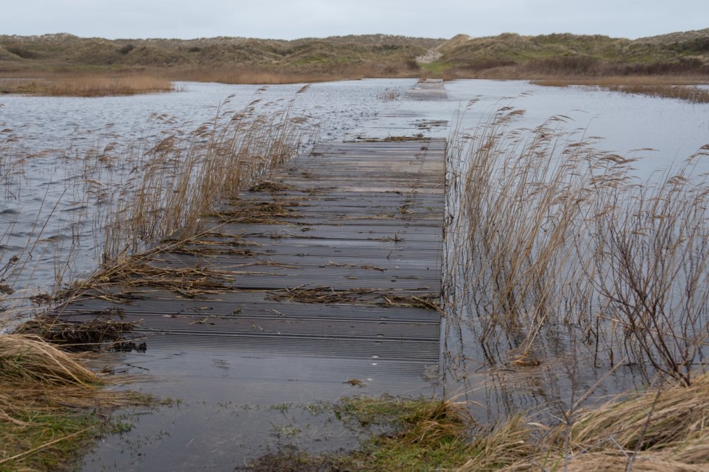 ameland2020_057.jpg
