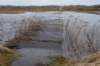 ameland2020_057_small.jpg