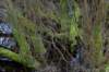 ameland2020_059_small.jpg