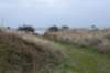 ameland2020_067_small.jpg