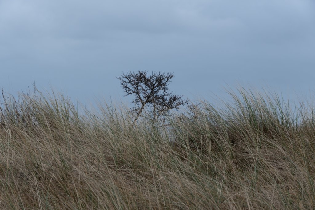 ameland2020_068.jpg