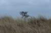 ameland2020_068_small.jpg
