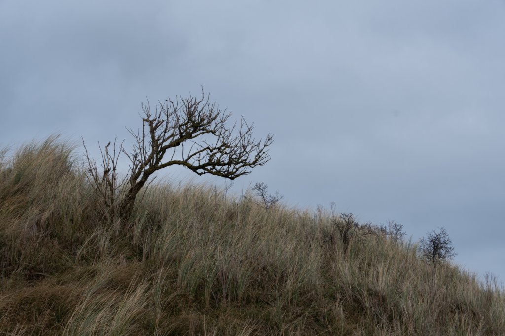 ameland2020_069.jpg