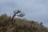 ameland2020_069_small.jpg
