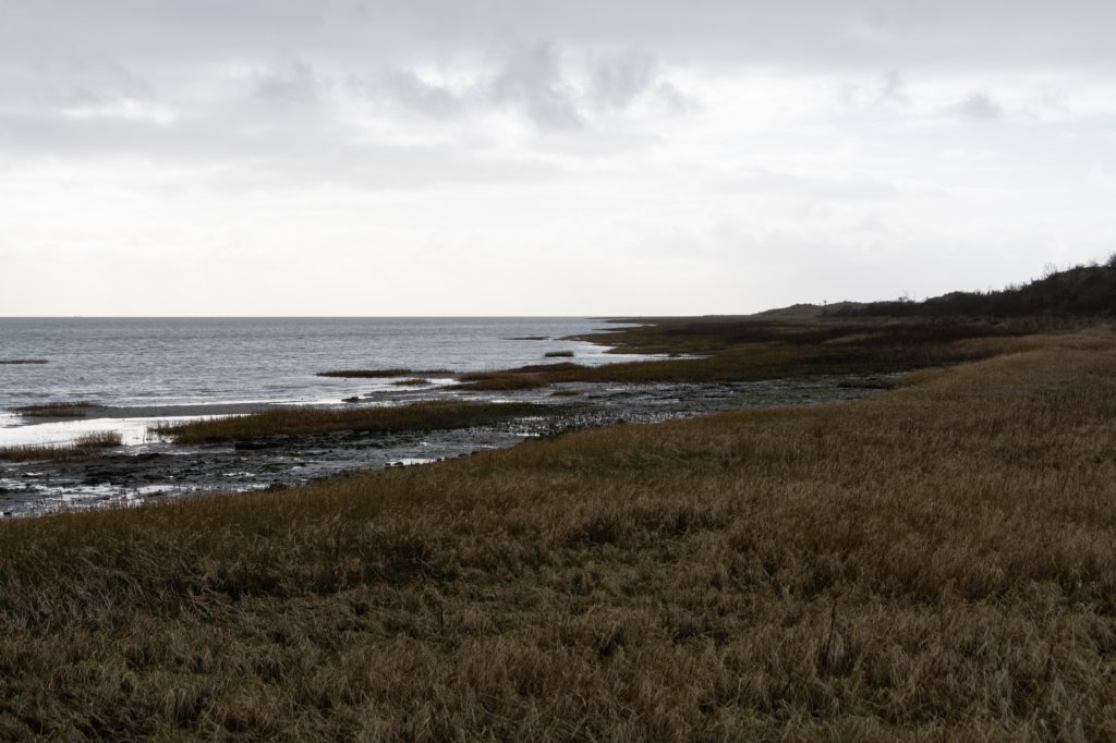 ameland2020_070.jpg