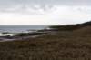 ameland2020_070_small.jpg