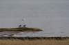 ameland2020_073_small.jpg