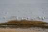 ameland2020_074_small.jpg