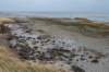 ameland2020_075_small.jpg
