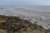 ameland2020_077_small.jpg