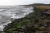 ameland2020_078_small.jpg