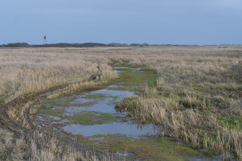 ameland2020_079.jpg