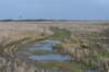ameland2020_079_small.jpg