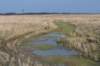 ameland2020_080_small.jpg