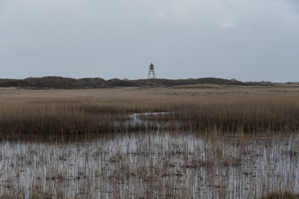 ameland2020_083.jpg