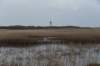 ameland2020_083_small.jpg