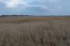 ameland2020_084_small.jpg