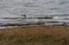 ameland2020_087_small.jpg
