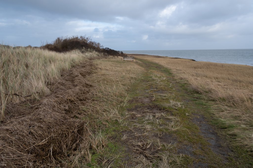 ameland2020_088.jpg