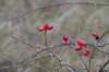 ameland2020_089_small.jpg