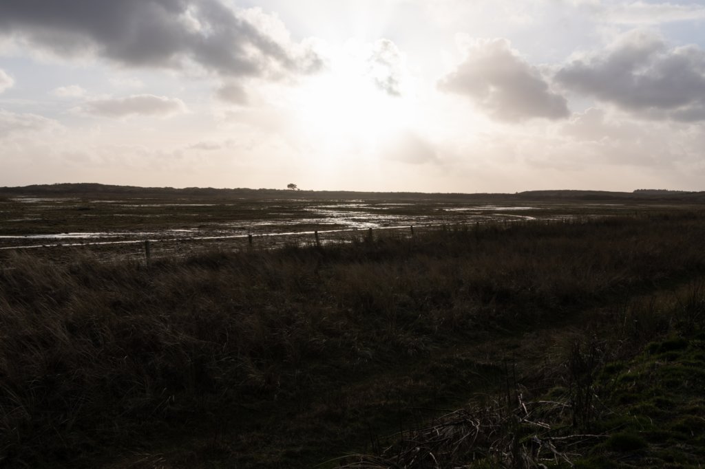 ameland2020_092.jpg