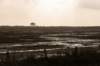 ameland2020_093_small.jpg