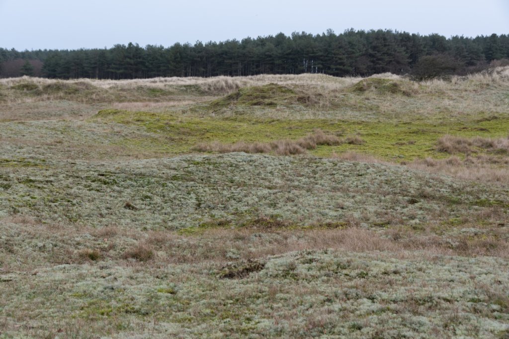 ameland2020_095.jpg