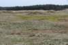 ameland2020_095_small.jpg