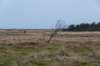 ameland2020_096_small.jpg