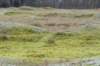 ameland2020_097_small.jpg