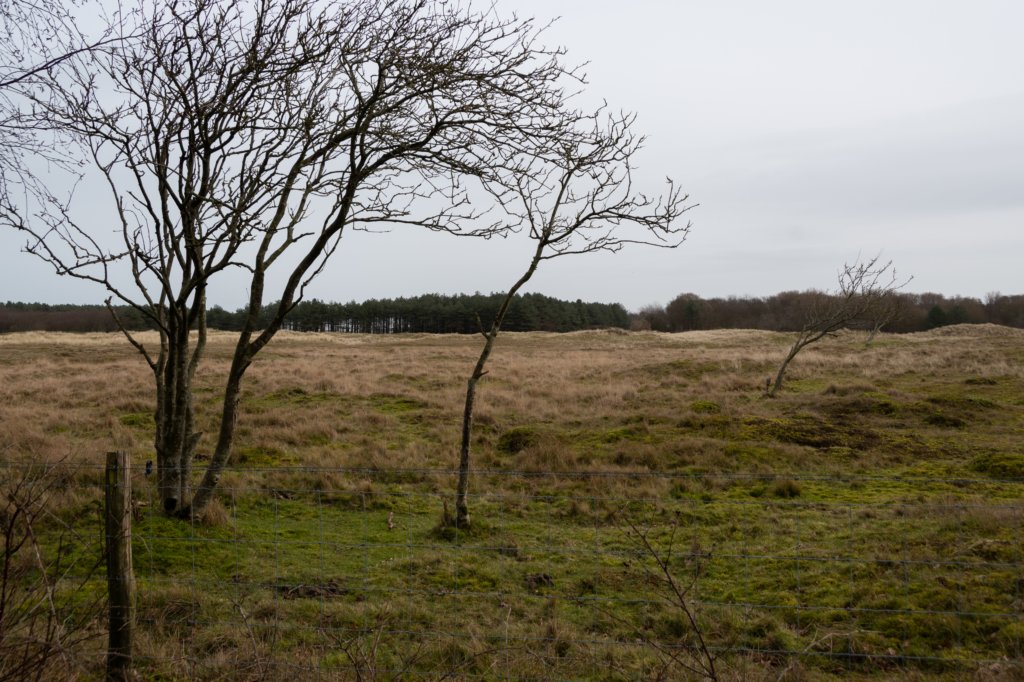 ameland2020_098.jpg