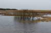 ameland2020_099_small.jpg