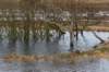 ameland2020_100_small.jpg