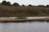 ameland2020_101_small.jpg