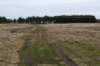 ameland2020_102_small.jpg
