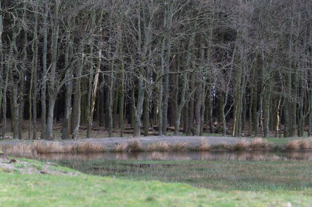 ameland2020_106.jpg
