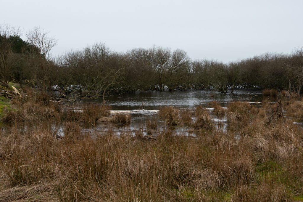 ameland2020_110.jpg