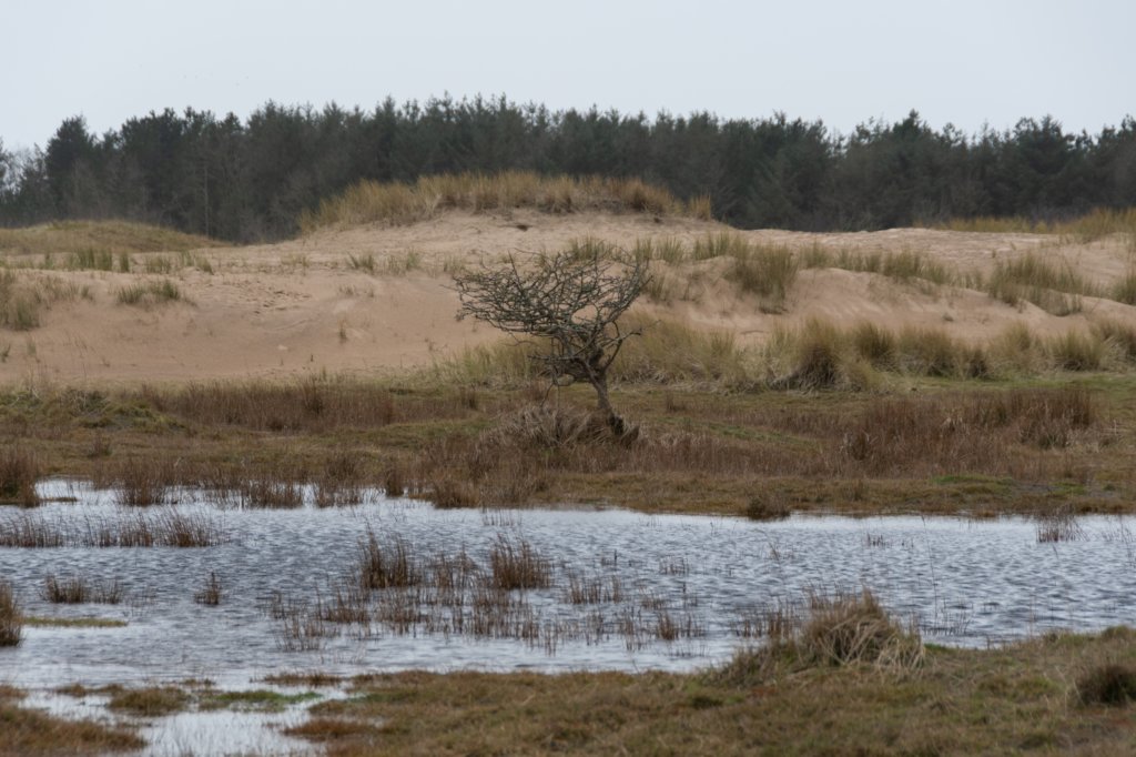 ameland2020_113.jpg