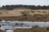 ameland2020_113_small.jpg