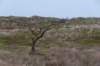 ameland2020_114_small.jpg