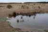 ameland2020_116_small.jpg